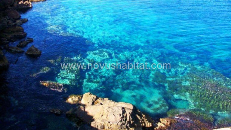 Townhouse in La Manga del Mar Menor - N6155 - foto 23