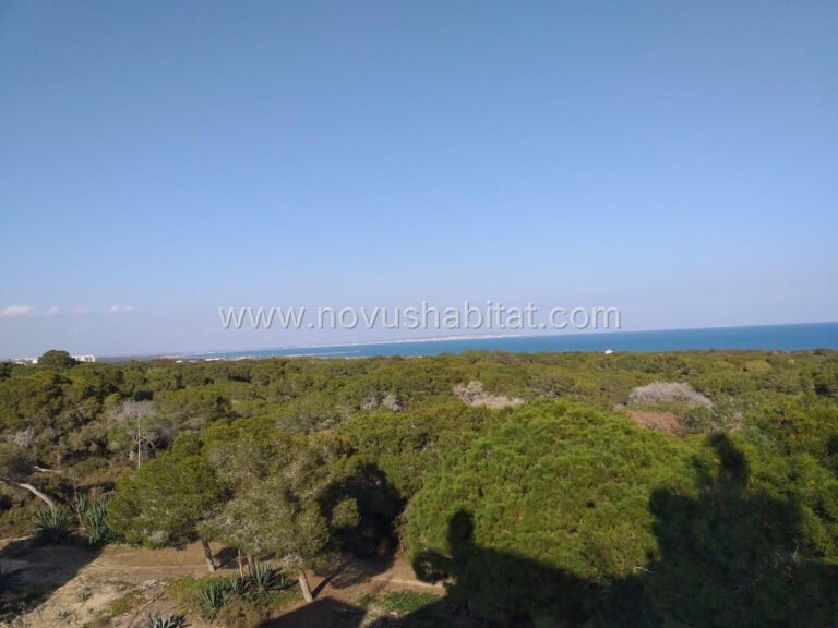 Apartments in Guardamar del Segura - foto 8