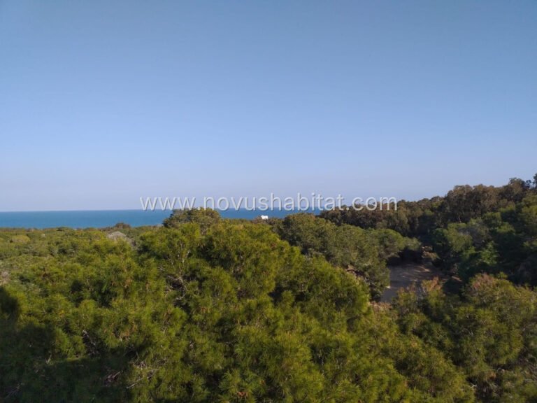 Apartment in Guardamar del Segura - SP1363 - foto 12