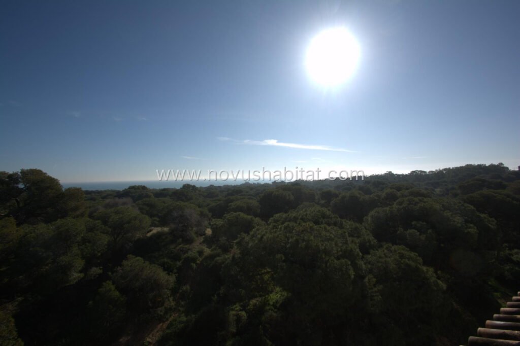Appartement in Guardamar del Segura - N9905 – foto 3