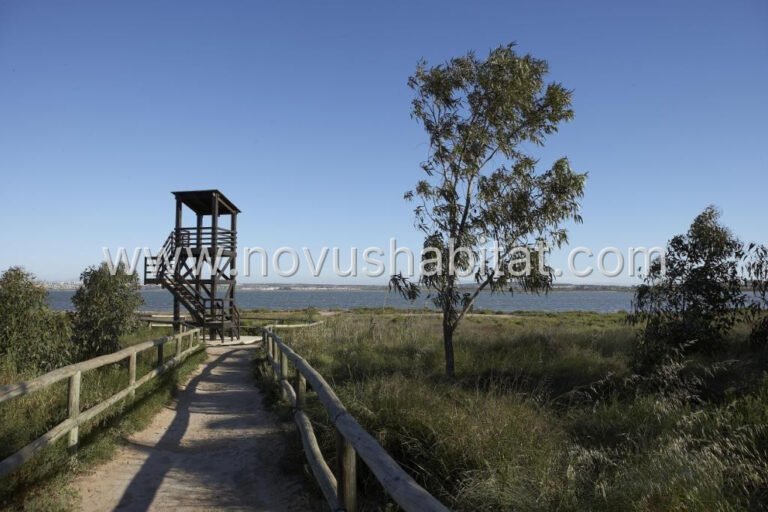 Bungalows in Torrevieja - foto 3
