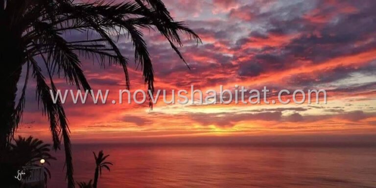 Bungalow in Torrevieja - N8465 - foto 12