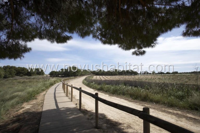 Bungalows in Torrevieja - foto 10