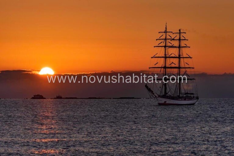 Íbúð í Villajoyosa - N9204 - foto 18