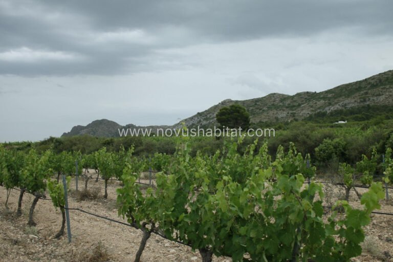 Villa en Yecla - N7260 - foto 32