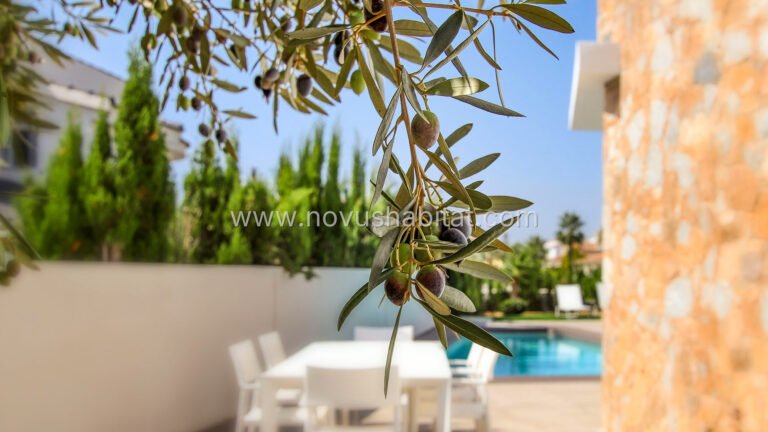Villa in Ciudad Quesada - AC-875 - foto 17