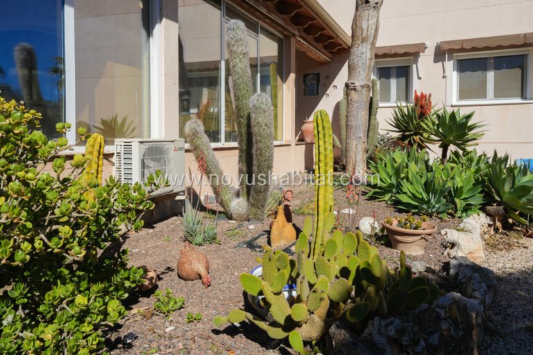 Villa in Jacarilla - RS-188 - foto 41