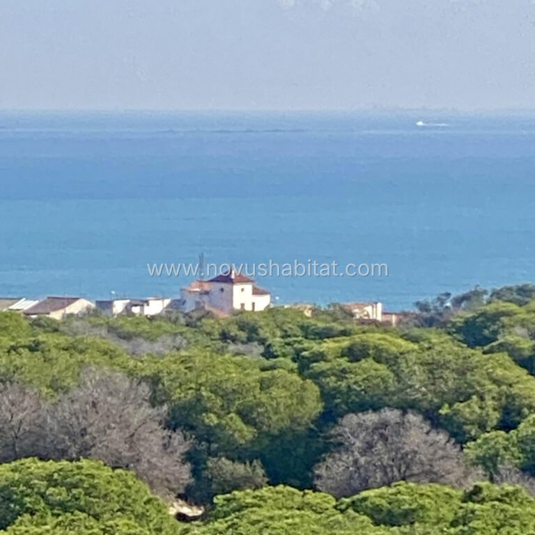 Apartamento en Guardamar del Segura - N10017 - foto 18