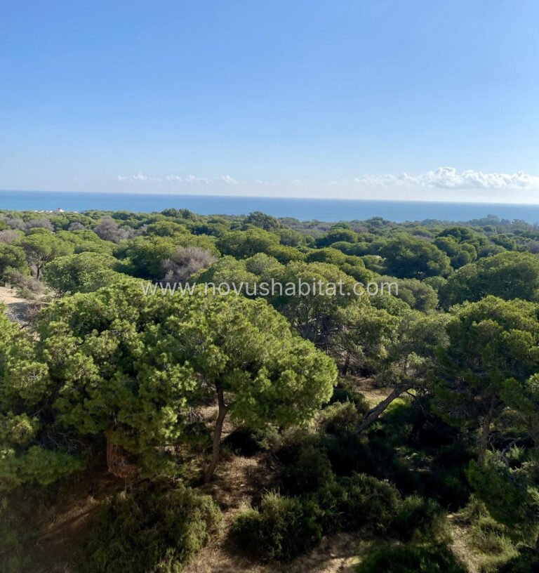 Apartamento en Guardamar del Segura - N10018 - foto 15