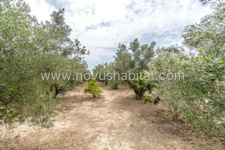 Villa in Dolores - 479482 - foto 30