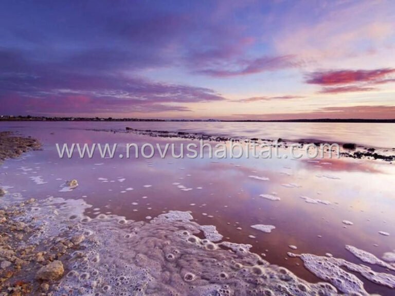 Penthouse in Torrevieja - 488362 - foto 28
