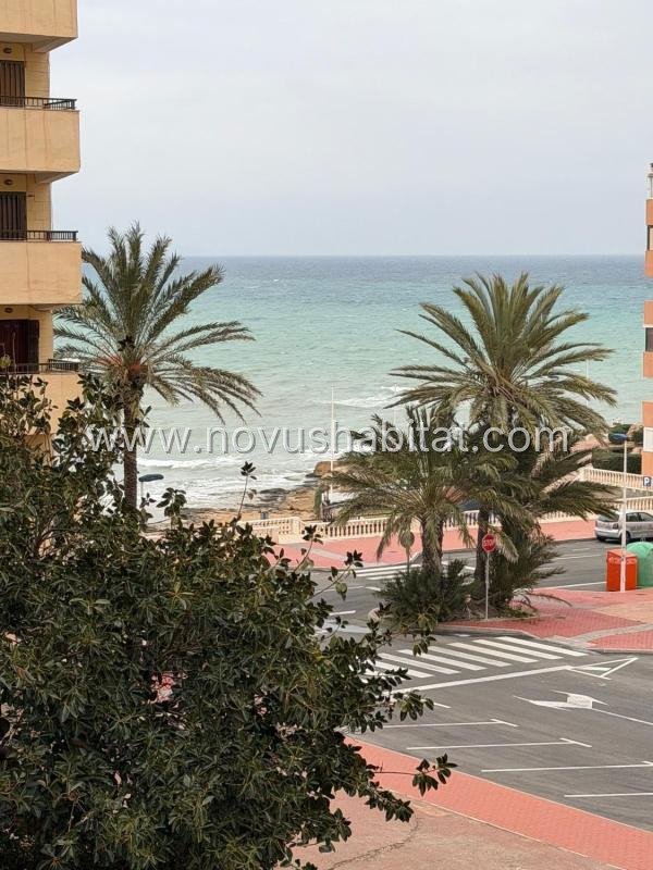 Apartment in Torrevieja - 480014