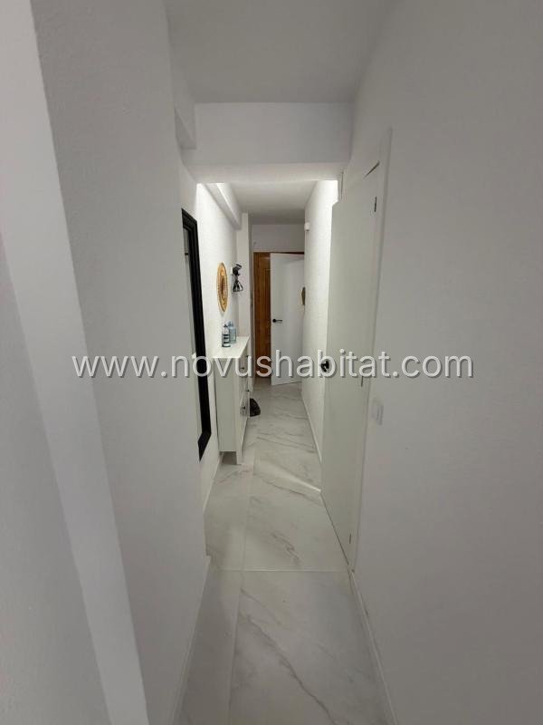 Apartment in Torrevieja - 480014 – foto 3