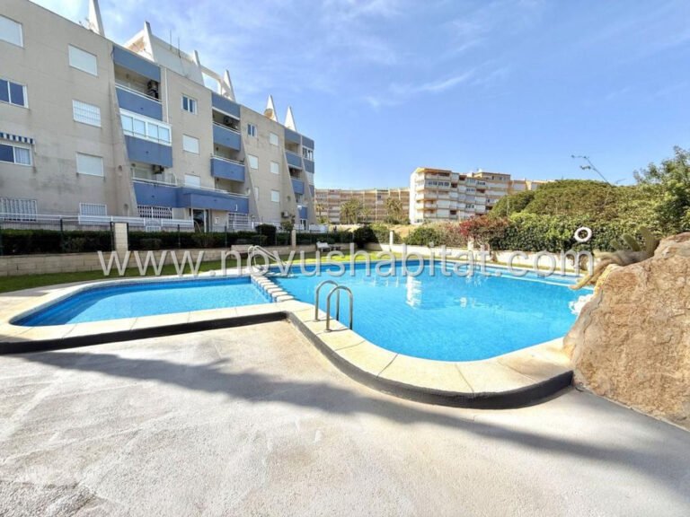 Apartment in Torrevieja - 479835