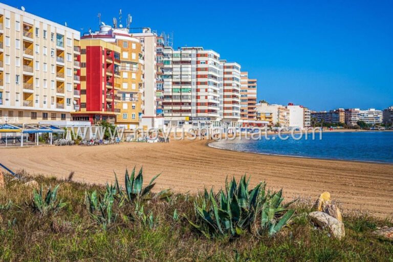 Apartment in Torrevieja - 537097