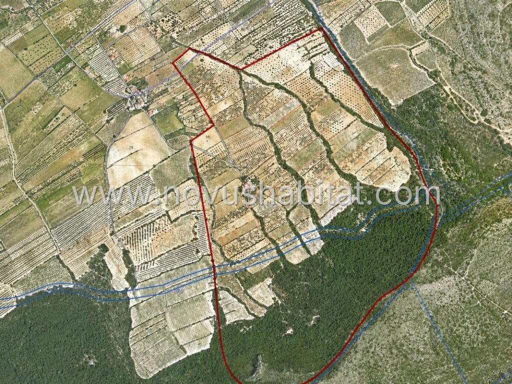 Villa í Villena - 546515 – foto 5