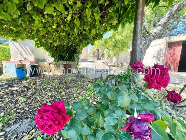 Villa í La Romana - 549630 - foto 5