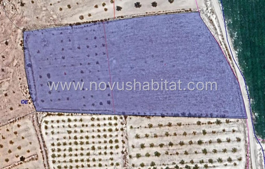 Plot in Pinoso - 542433 – foto 1