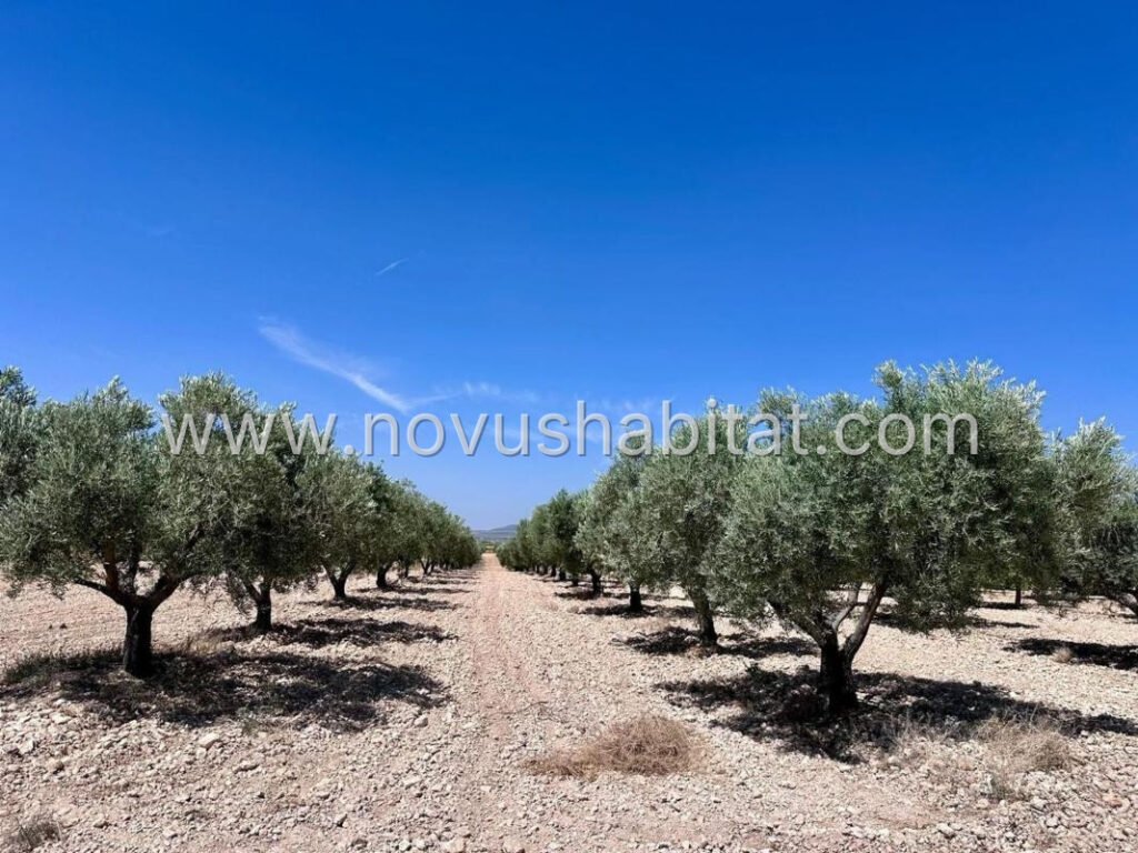Plot in Monovar - 548496 – foto 1