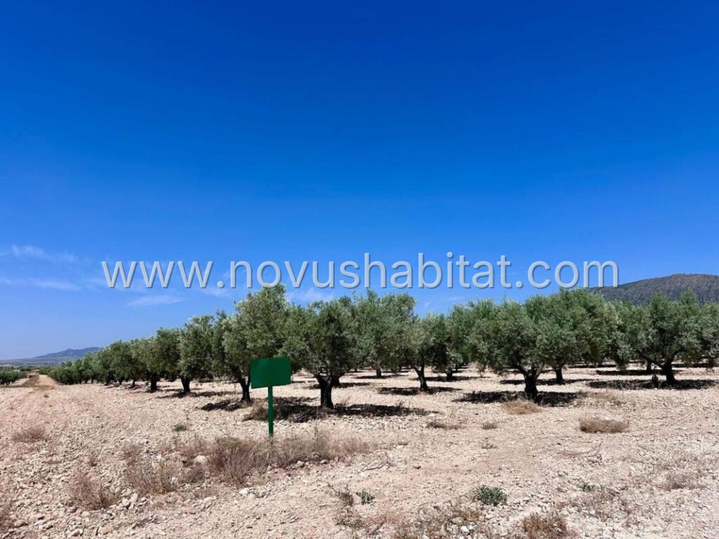 Plot in Monovar - 548496 – foto 4