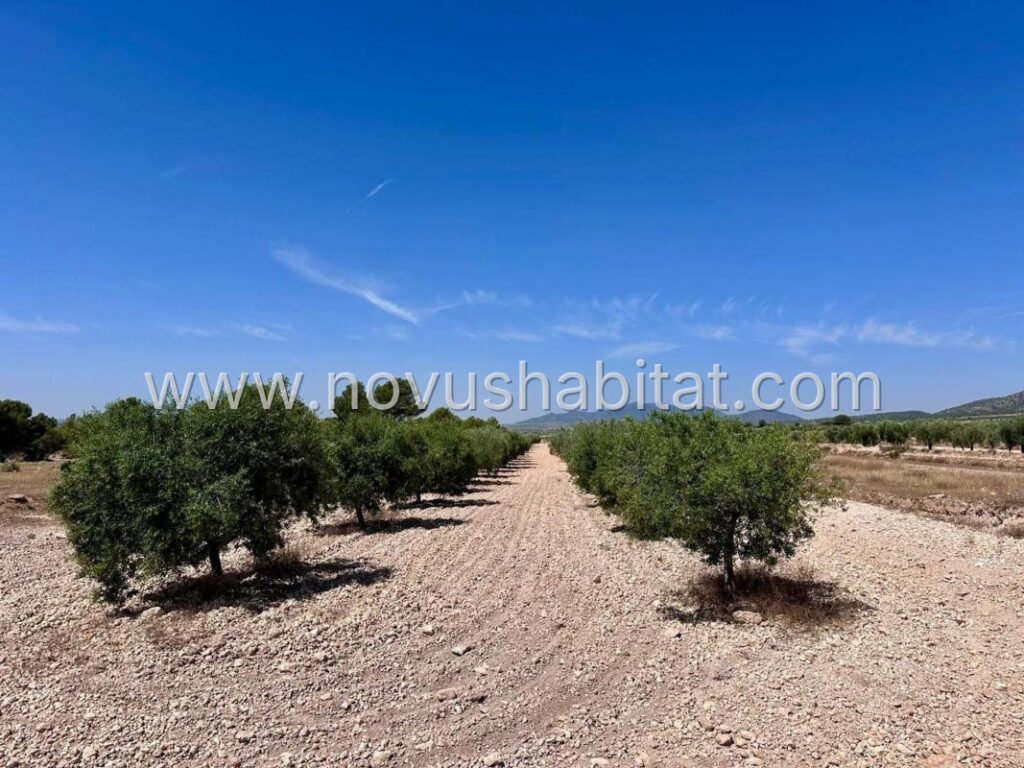 Plot in Monovar - 548496 – foto 5