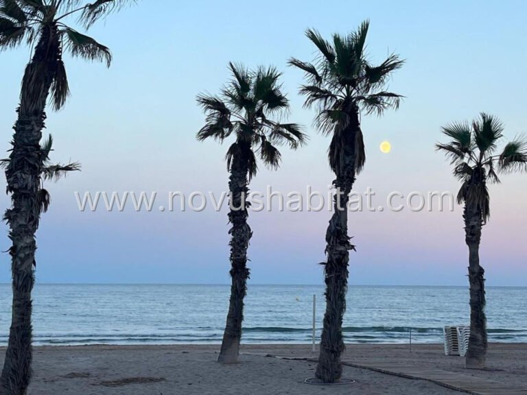 Appartement in Alicante - 553618 - foto 26
