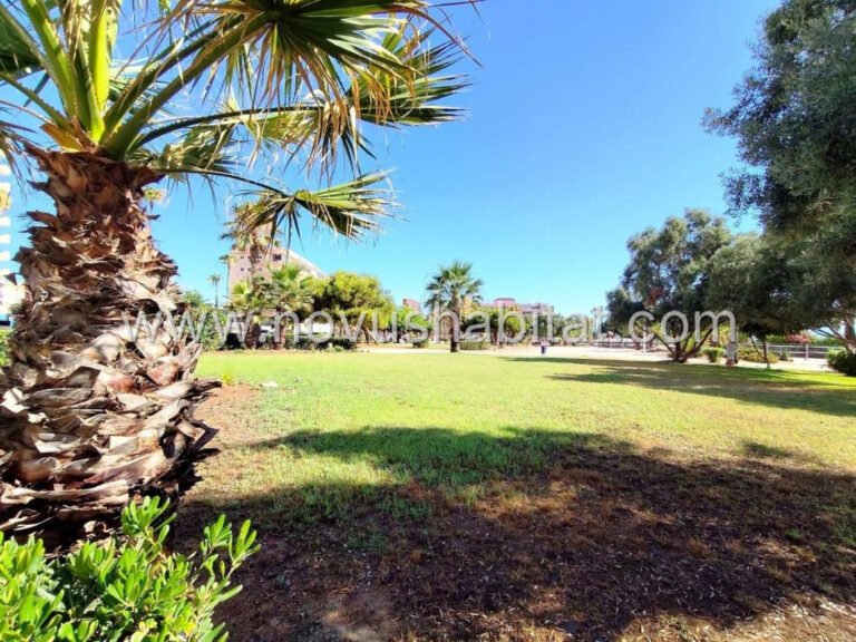 Appartement in Torrevieja - 553746 - foto 22