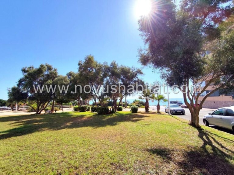 Appartement in Torrevieja - 553746 - foto 23