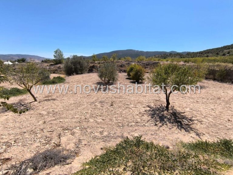 Villa en Monovar - 569031 - foto 13