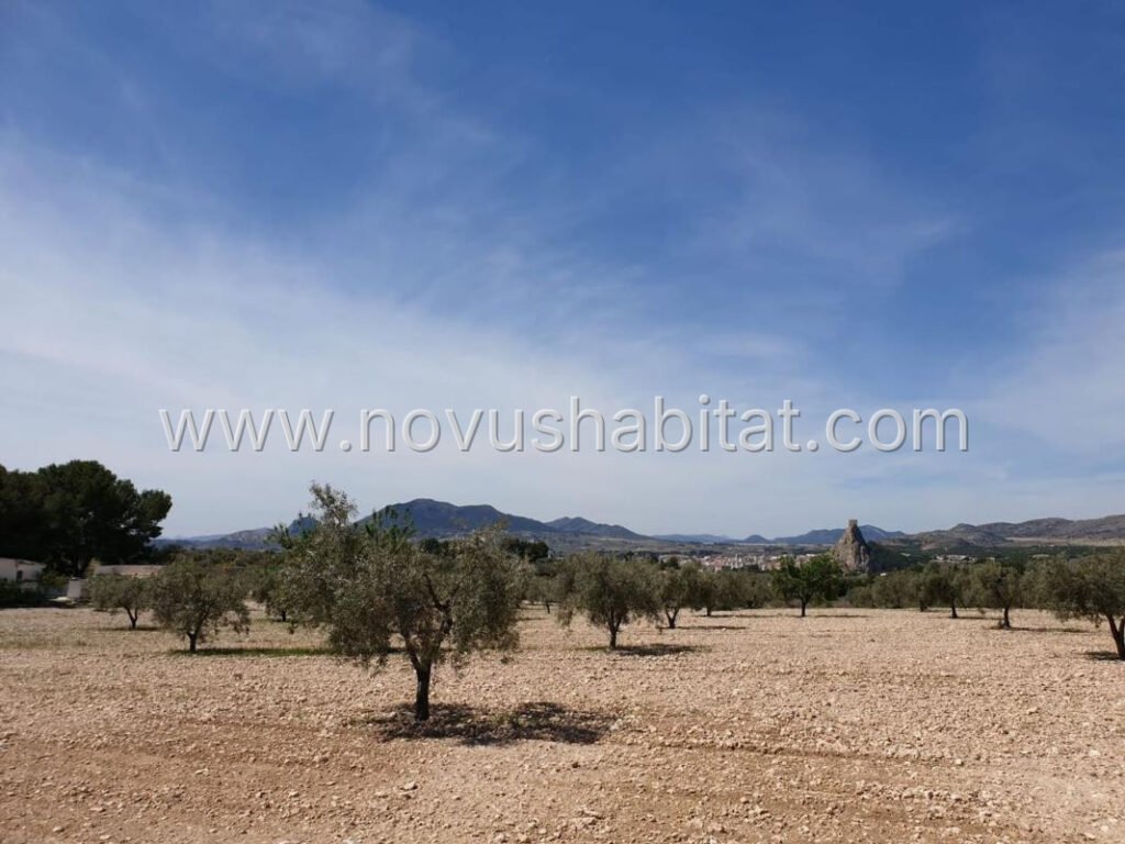 Parcela en Sax - 579029 – foto 1
