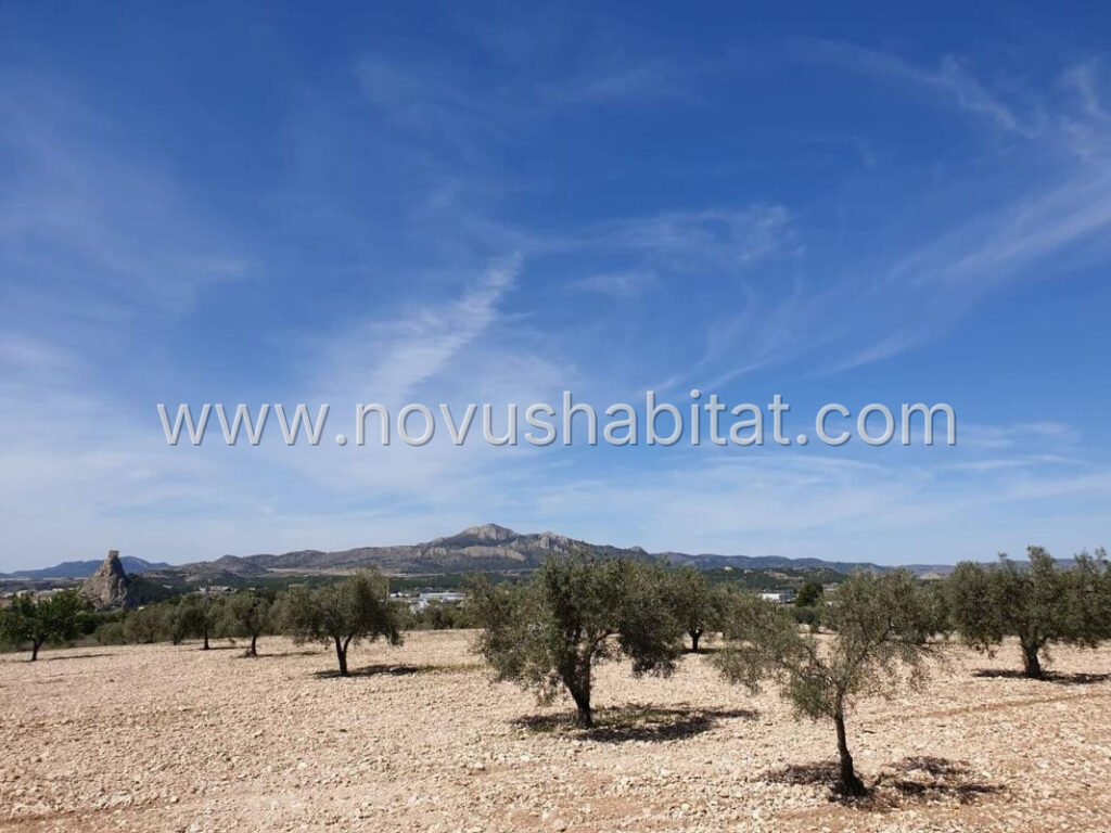 Parcela en Sax - 579029 – foto 3