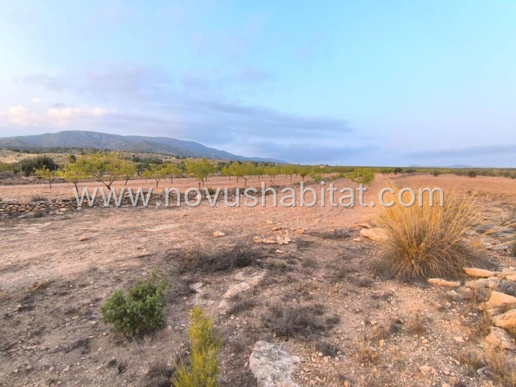Plot in Pinoso - 595080 – foto 1