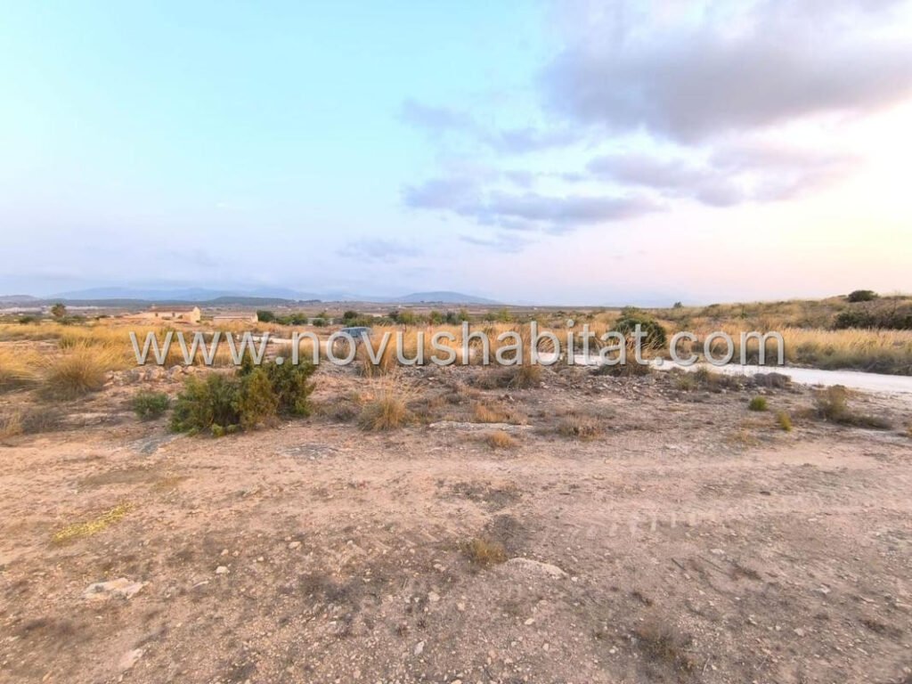 Plot in Pinoso - 595080 – foto 4
