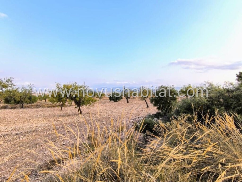 Plot in Pinoso - 595081 – foto 2