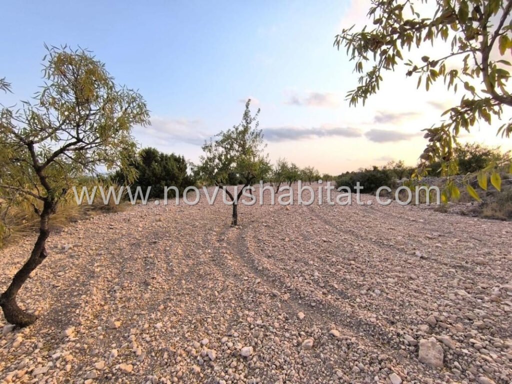Plot in Pinoso - 595081 – foto 4