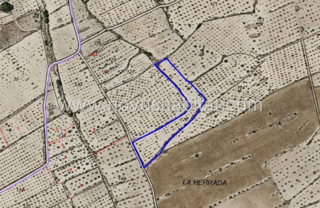 Plot in Pinoso - 595081 – foto 5