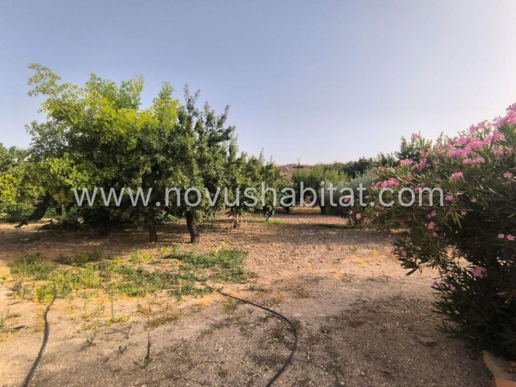 Villa in Pinoso - 597574 – foto 5