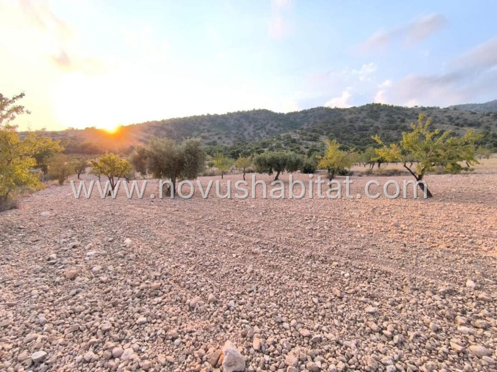 Plot in Pinoso - 615694 – foto 1