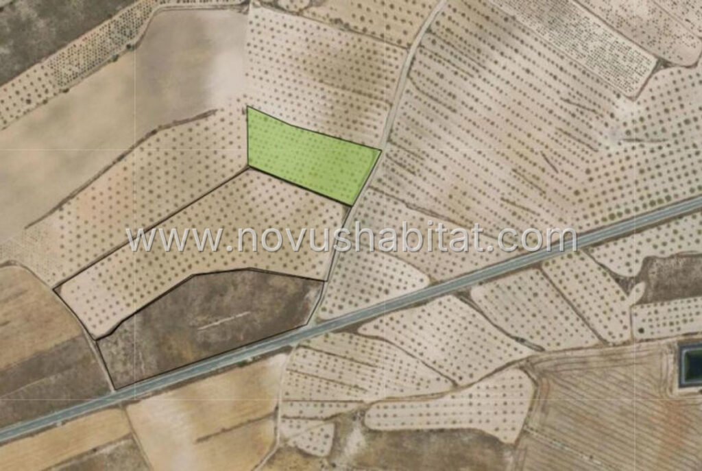 Plot in Pinoso - 615744 – foto 2