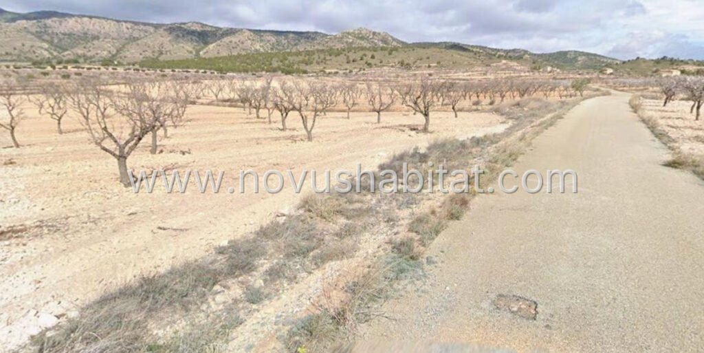 Plot in Pinoso - 615744 – foto 3