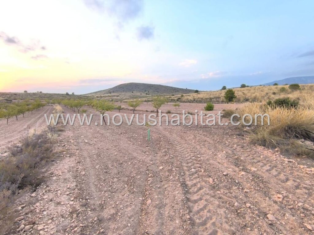 Plot in Pinoso - 615750 – foto 1
