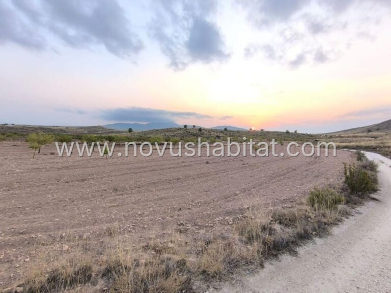 Plot in Pinoso - 615750 - foto 2
