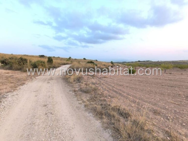 Plot in Pinoso - 615750 - foto 3