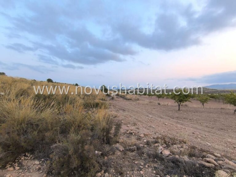 Plot in Pinoso - 615750 - foto 4