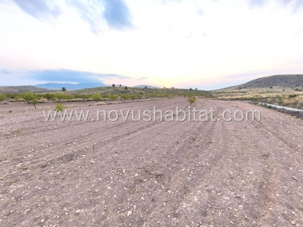 Plot in Pinoso - 615750 – foto 5