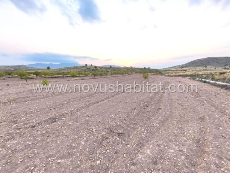 Plot in Pinoso - 615750 - foto 5