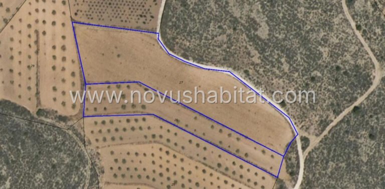 Plot in Pinoso - 615750 - foto 7