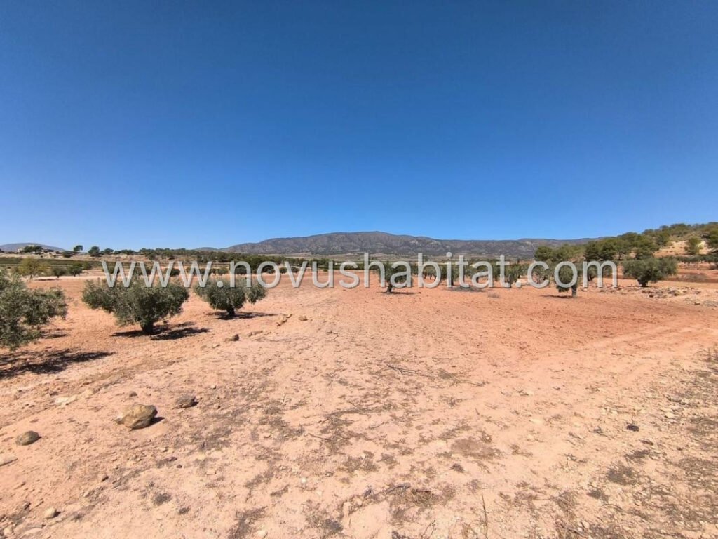 Plot in Monovar - 615779 – foto 1
