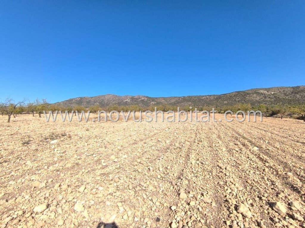 Plot in Pinoso - 615942 – foto 1