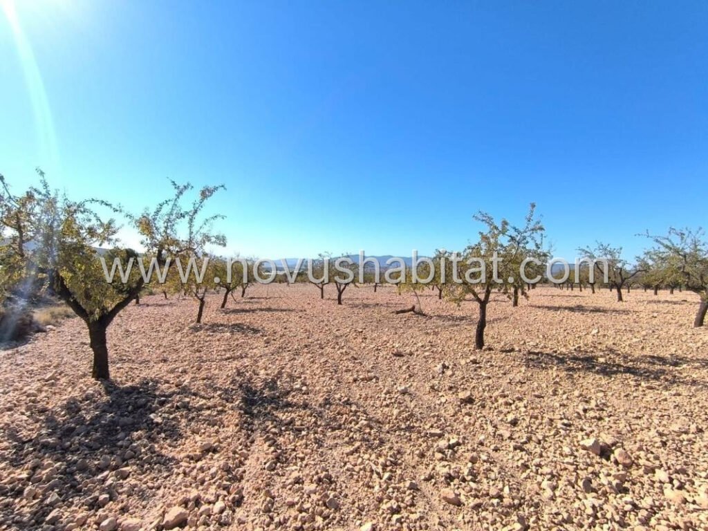 Plot in Pinoso - 615942 – foto 2